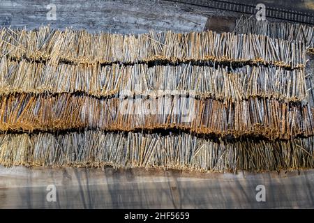 Stapel von gestapelten Holzstämmen Draufsicht vom Thron aus. Stockfoto