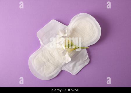 Weiches, schützendes und saugfähiges Wattepad für die Damenpflege mit weißer Blume auf fliederfarbenem Hintergrund. Draufsicht. Horizontale Zusammensetzung. Stockfoto