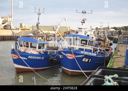 Whitstable Harbour, Kent, England, Großbritannien Stockfoto