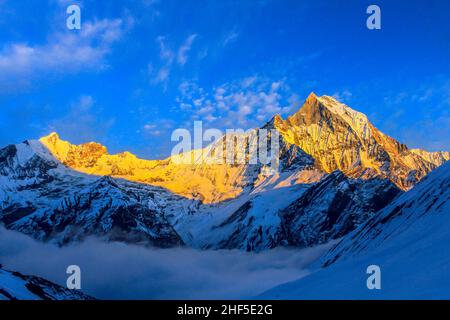 Sternenhimmel über Machhepuchare und Annapurna Base Camp - Nepal, Himalaya Stockfoto