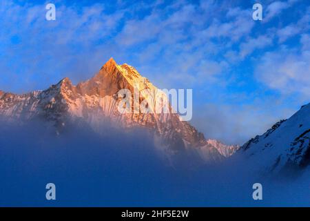 Sternenhimmel über Machhepuchare und Annapurna Base Camp - Nepal, Himalaya Stockfoto