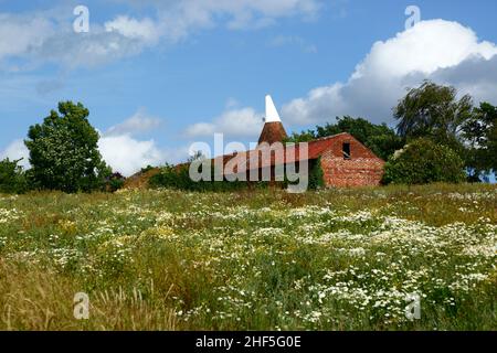 Im Frühsommer, Tudeley, Kent, England, liegt neben dem High Weald Walk ein langer, distince Fußweg Stockfoto