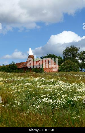 Im Frühsommer, Tudeley, Kent, England, liegt neben dem High Weald Walk ein langer, distince Fußweg Stockfoto