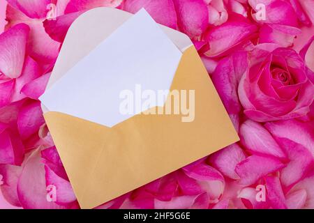 Leeres weißes Papier mit Kopierfläche im Umschlag auf frischen, aromatisch-rosa Rosenblättern und Blumen Stockfoto