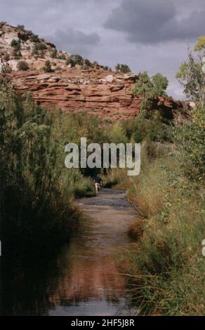 Scenic Byway 12 - Wattfahren in Calf's Creek Stockfoto