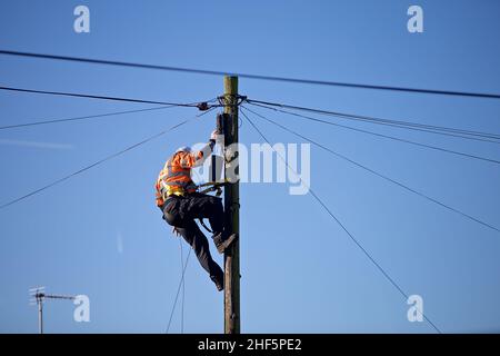 Ein offener Telekommunikationsingenieur bei der Arbeit auf einer Leiter trägt er die richtige PSA für die Arbeit in der Hand und erfüllt gleichzeitig die H&S-Vorschriften. Stockfoto