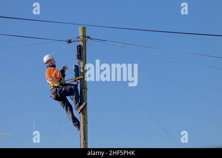 Ein offener Telekommunikationsingenieur bei der Arbeit auf einer Leiter trägt er die richtige PSA für die Arbeit in der Hand und erfüllt gleichzeitig die H&S-Vorschriften. Stockfoto