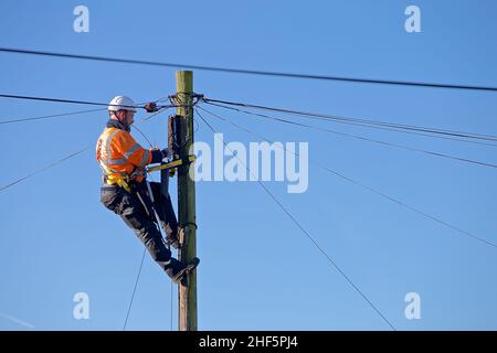 Ein offener Telekommunikationsingenieur bei der Arbeit auf einer Leiter trägt er die richtige PSA für die Arbeit in der Hand und erfüllt gleichzeitig die H&S-Vorschriften. Stockfoto