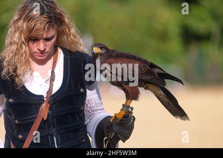 Luzarches, Frankreich - 12 2019. Oktober: Falconer mit ihrem Falken während des jährlichen Festivals „Médiévales“. Im Herbst, in vielen mittelalterlichen Städten Frankreichs, Stockfoto