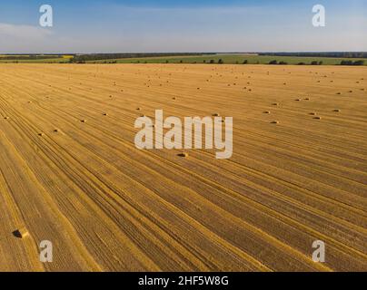 Garben Stroh in einem Weizenfeld Draufsicht. Stockfoto