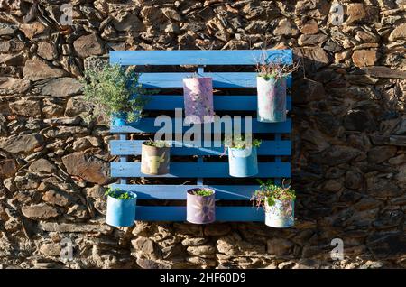 Industriepalette aus recyceltem Holz zur Verwendung als Pflanzgefäß mit Töpfen aus recycelten Dosen mit natürlichen Blüten 2 Stockfoto