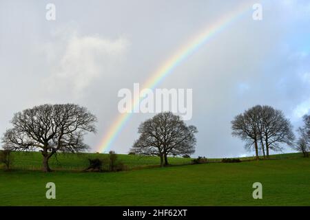 Regenbogen bei leichtem Regen in Gwyddelwern, Denbighshire, Großbritannien, Wales, stieß auf diese Szene von Bäumen gegen Himmel und Felder. Stockfoto