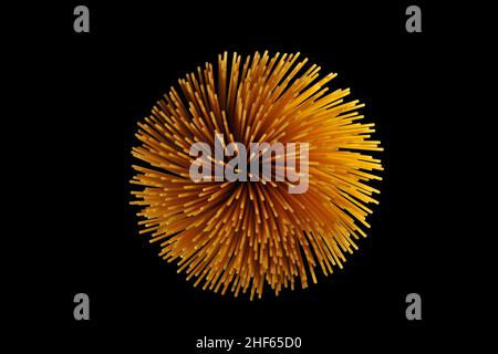 Nudelstern platzen, Spaghetti geformt zu einer runden Kugel mit Stacheln auf einem Hintergrund. Stockfoto