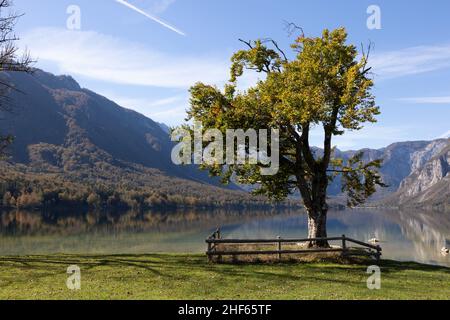 Wocheinsee in den Julischen Alpen, in der Herbstsonne, Slowenien, 15.10.2021. Stockfoto