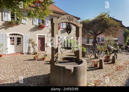 Burkheim am Kaiserstuhl, Breisgau, Südschwarzwald, Baden-Württemberg, Deutschland Stockfoto