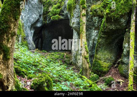 Schlucht Frankreich, Canyon des Sayottes Stockfoto