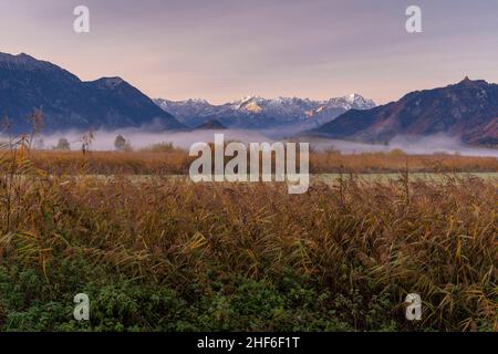 Nebel über dem Murnauer Moos bei Ohlstadt mit Blick auf Estergebirge, Wettersteingebirge, Zugspitze und Alpspitze, bei Murnau, Bayern, Deutschland Stockfoto