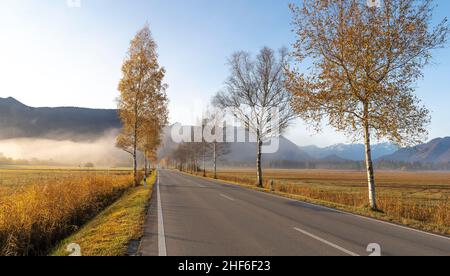 Am frühen Morgen zieht Nebel über die Hauptstraße im Murnauer Moos bei Ohlstadt, Murnau, Bayern, Deutschland Stockfoto