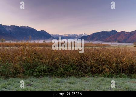 Nebel über dem Murnauer Moos bei Ohlstadt mit Blick auf Estergebirge, Wettersteingebirge, Zugspitze und Alpspitze, bei Murnau, Bayern, Deutschland Stockfoto