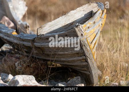 Ein Holzboot, gelb gestrichen, beschädigt durch Zeit und Wetter. Das offene Ruderboot hat den Rücken verrottet und es fehlen Bretter. Es ist unter hohem gelben Gras Stockfoto