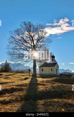 Herbstlandschaft mit Kapelle Maria Rast auf den Buckelwiesen, sonnig, Rücklicht, Buche, Krün, Werdenfelser Land, Oberbayern, Bayern, Deutschland Stockfoto