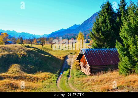 Feldweg in Gerold im Hintergrund eine Wiese Obstgarten, Apfelgarten, Scheune, Weg, atmosphärisch, Gerold, Deutschland, Bayern, Oberbayern, Werdenfelser Land, Klais, blauer Himmel, herbstlich Stockfoto