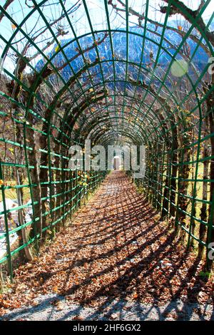 Arkade im Schlosspark von Schloss Linderhof, Ettal Gemeinde, herbstliches Ammertal, Ammergauer Alpen, Oberbayern, Bayern, Deutschland Stockfoto