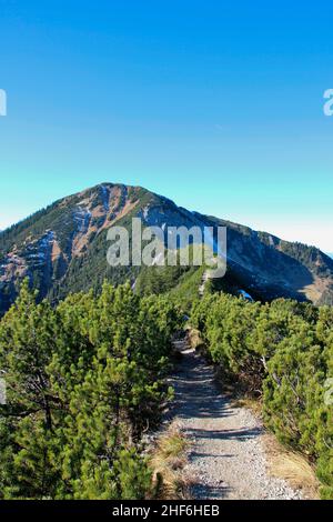 Gratwanderung von Heimgarten nach Herzogstand, Berg, Bayerische Voralpen, Alpen, Alpenvorland, Bayerisches Oberland, Oberbayern, Bayern, Süddeutschland, Deutschland, Blick auf den Gipfel des Baumgartens Stockfoto