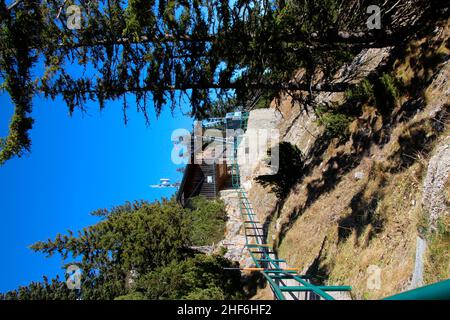 Wanderung von Walchensee zum Herzogstand, 1731 m., Wenige Meter zur Bergstation, Voralpen, Deutschland, Bayern, Oberbayern, Tölzer Land, Herzogstandbahn Stockfoto