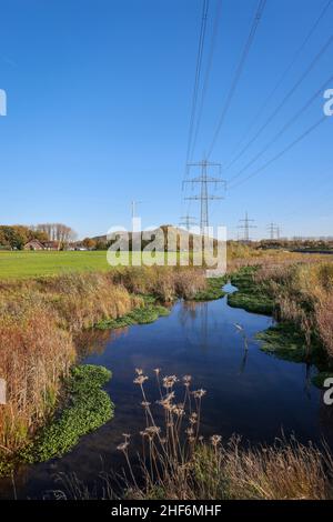 Bottrop, Nordrhein-Westfalen, Deutschland, renaturierte Boye im goldenen Herbst, dem Nebenfluss der Emscher, wurde durch neu konzipierte Hochwasserflächen in einen naturnahen Wasserkörper umgewandelt, der Boye ist nach dem Bau eines parallelen Kanals nun abwasserfrei, Gehört zum Emscher- und Flusssystem, so dass es für den Emscher-Umbau zuvor einen offenen oberirdischen Abwasserabfluss, Mischwasserkanal mit Oberflächenwasser und Abwasser, hinter einer Windturbine, Strommasten und Wohngebäuden gab Stockfoto