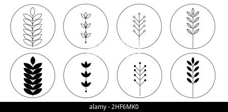 Set von abstrakten Pflanzen. Silhouette. Sammlung von handgezeichneten, botanischen und heilenden isolierten Pflanzen. Kräuter Designvorlage.Zweige und Blätter mit abstrakten Stockfoto