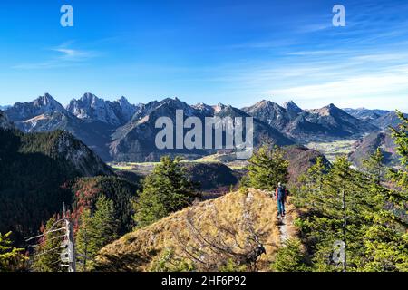 Wanderer unterwegs auf dem Tegelberg bei Füssen an einem sonnigen Herbsttag. Berge und Wälder unter blauem Himmel. Allgäuer und Ammergauer Alpen, Bayern, Deutschland, Europa Stockfoto