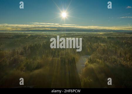 Morgen voller Nebel mit einem isolierten Haus inmitten eines Waldes unter geheimnisvollen Sonnenstrahlen Stockfoto