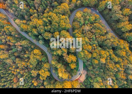 Blick von oben auf einen herbstlichen Wald mit doppelter Kurve und treibenden Autos Stockfoto