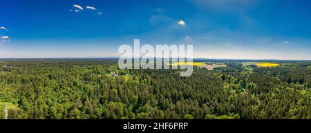 Idyllisches Wohnen zwischen einem grünen, frisch gelüfteten Wald in Panoramalage an einem sonnigen Tag im Frühling, bayern deutschland Stockfoto