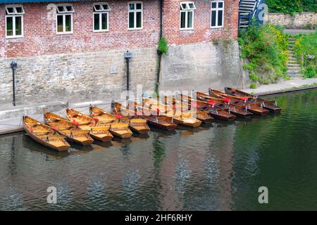 Ruderboote Reihen sich auf dem Wear River im Stadtzentrum von Durham an, das für seine Universität berühmt ist. Schöne grüne Bäume spiegeln sich im Wasser auf einer Summe Stockfoto