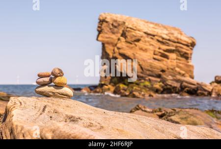 'Charley's Garden' ist ein Sandstein-Meeresstapel in Collywell Bay, Seaton Sluice, Northumberland. Stockfoto