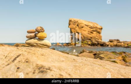 'Charley's Garden' ist ein Sandstein-Meeresstapel in Collywell Bay, Seaton Sluice, Northumberland. Stockfoto