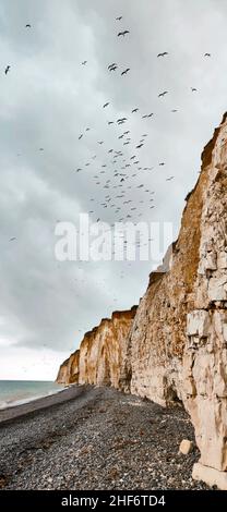 Die senkrechten Kreidefelsen sind charakteristisch für die Cote d'Albatre, Quiberville Plage, Frankreich, die Normandie, Stockfoto