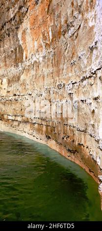 Bei Flut am Mittag sind die vertikalen Kreidefelsen charakteristisch für die Cote d'Albatre, Quiberville Plage, Frankreich, die Normandie, Stockfoto