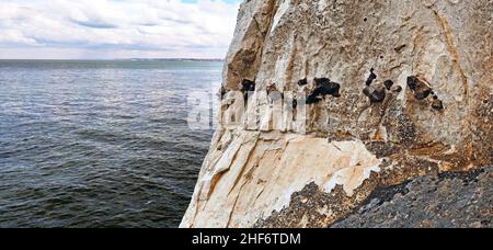 Die senkrechten Kreidefelsen sind charakteristisch für die Cote d'Albatre, Quiberville Plage, Frankreich, die Normandie, Stockfoto