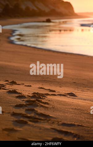 Sonnenaufgang am Strand von Albufeira, Atlantischer Ozean, hintergrundbeleuchtet, Fußabdrücke im Sand Stockfoto