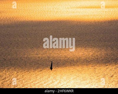 Segelboot in der Sommerabendstimmung auf goldenem Glitzer Gardasee, Italien, Europa. Stockfoto