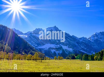 Mountain Maple (Acer) im Backlight, Herbst, großer Ahornboden, eng, Vomp, Hinterriß, Tirol, Österreich, Europa Stockfoto