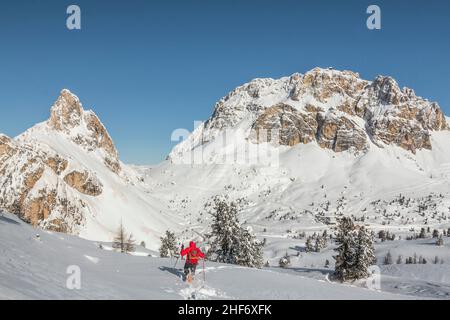 Wanderer mit Schneeschuhen im Neuschnee in der Umgebung von Passo Falzarego, Dolomiti, Cortina di Ampezzo, Provinz Belluno, Venetien, Italien Stockfoto