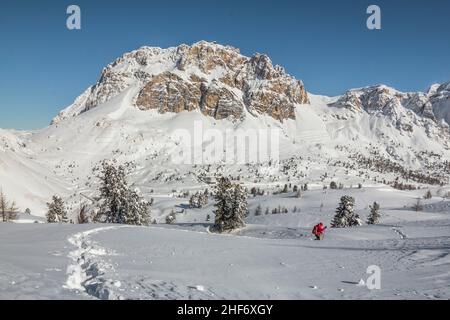 Wanderer mit Schneeschuhen im Neuschnee in der Umgebung von Passo Falzarego, Dolomiti, Cortina di Ampezzo, Provinz Belluno, Venetien, Italien Stockfoto