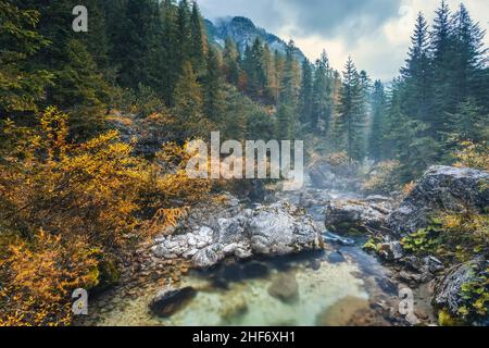 Das Wasser des Baches Mae im Val di Zoldo, Herbstwald, Pecol di Zoldo, Provinz Belluno, Venetien, Italien Stockfoto