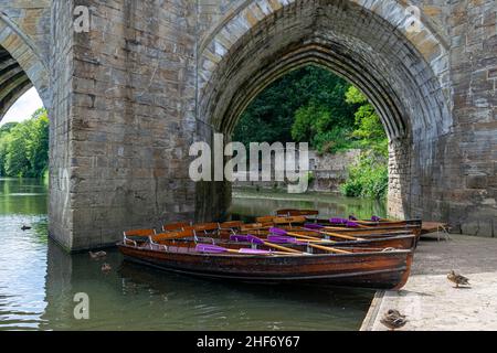 Ruderboote Reihen sich auf dem Wear River im Stadtzentrum von Durham an, das für seine Universität berühmt ist. Schöne grüne Bäume spiegeln sich im Wasser auf einer Summe Stockfoto