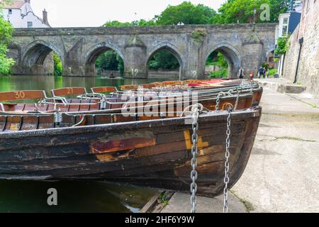 Ruderboote Reihen sich auf dem Wear River im Stadtzentrum von Durham an, das für seine Universität berühmt ist. Schöne grüne Bäume spiegeln sich im Wasser auf einer Summe Stockfoto