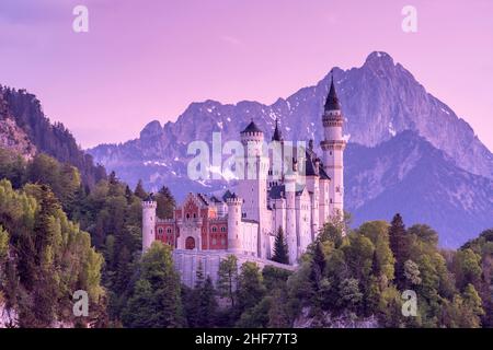 Schloss Neuschwanstein vor den Tannheimer Bergen in den Allgäuer Alpen, Hohenschwangau, Schwangau, bei Füssen, Allgäu, Bayern, Deutschland Stockfoto